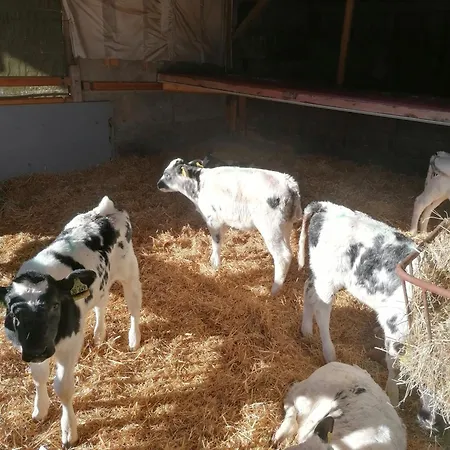 Kornmayer Appartamento