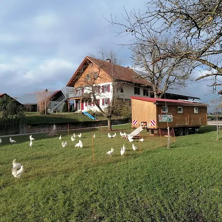 Kornmayer * Grunkraut