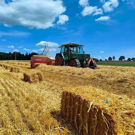 Kornmayer * Grunkraut