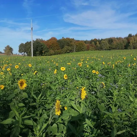 Kornmayer * Grunkraut