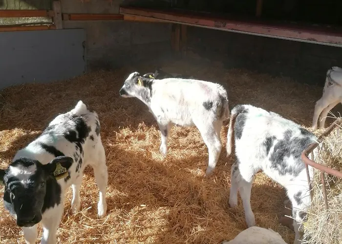 Kornmayer Appartamento