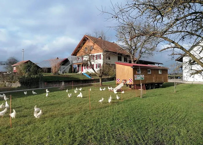 Kornmayer * Grunkraut