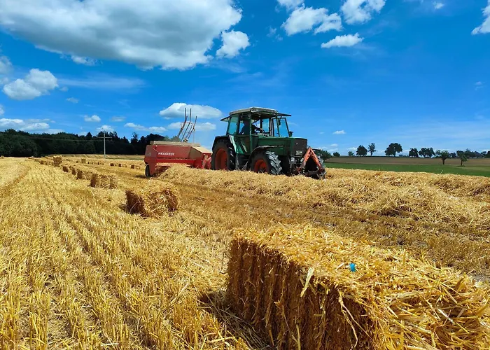 Kornmayer * Grunkraut